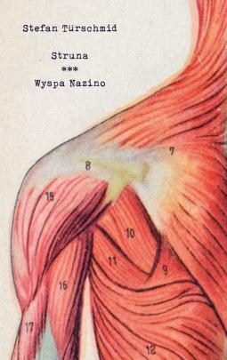 Okładka - Struna/Wyspa Nazino
