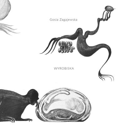 Okładka - Wyrobiska