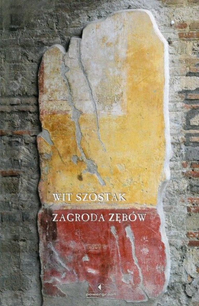 okładka książki