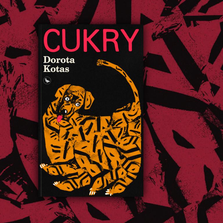 okładka książki