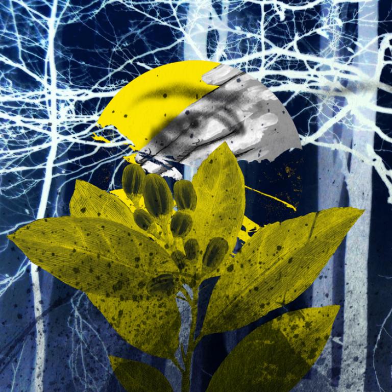 Abstrakcyjna grafika